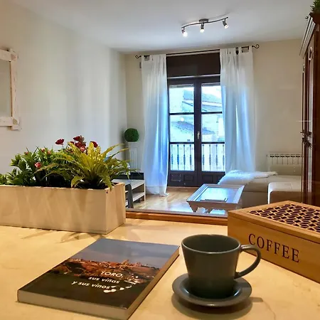 公寓 Apartamento Plaza Mayor *